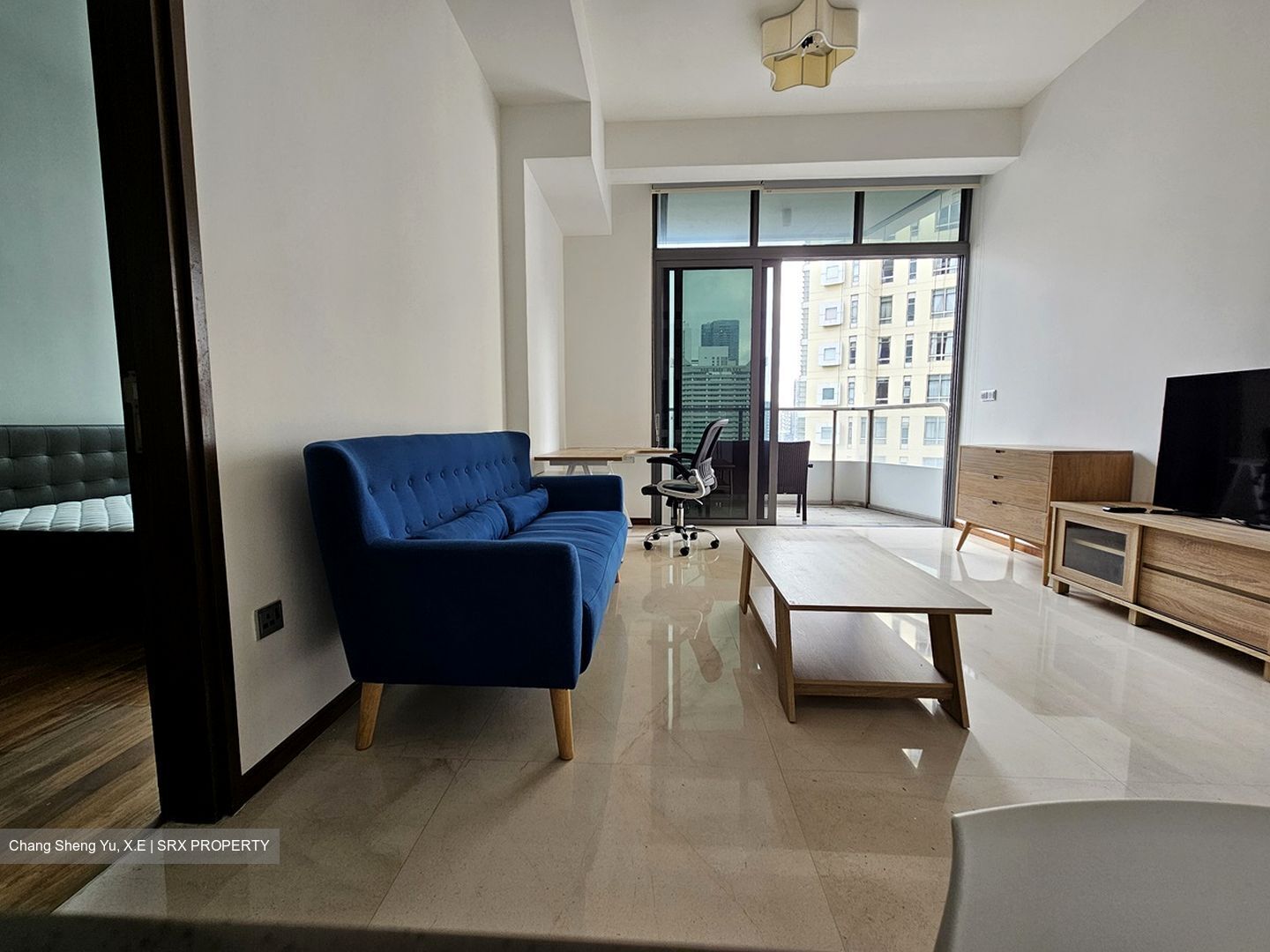 The Scotts Tower (D9), Condominium #432984191